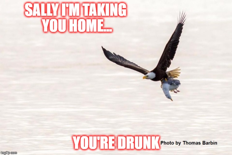 SALLY I'M TAKING YOU HOME... YOU'RE DRUNK | image tagged in eagles dinner | made w/ Imgflip meme maker