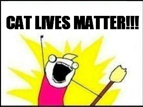 CAT LIVES MATTER!!! | made w/ Imgflip meme maker