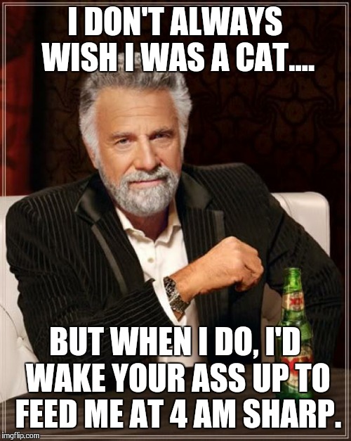 The Most Interesting Man In The World | I DON'T ALWAYS WISH I WAS A CAT.... BUT WHEN I DO, I'D WAKE YOUR ASS UP TO FEED ME AT 4 AM SHARP. | image tagged in memes,the most interesting man in the world | made w/ Imgflip meme maker