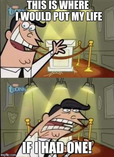 Fairly odd parents | THIS IS WHERE I WOULD PUT MY LIFE; IF I HAD ONE! | image tagged in fairly odd parents | made w/ Imgflip meme maker