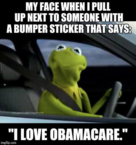 Be like "WTF?" | MY FACE WHEN I PULL UP NEXT TO SOMEONE WITH A BUMPER STICKER THAT SAYS:; "I LOVE OBAMACARE." | image tagged in kermit driving,obama care,memes,funny,wtf | made w/ Imgflip meme maker