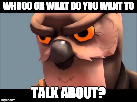Owl sniper | WHOOO OR WHAT DO YOU WANT TO TALK ABOUT? | image tagged in owl sniper | made w/ Imgflip meme maker