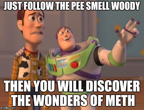X, X Everywhere | JUST FOLLOW THE PEE SMELL WOODY; THEN YOU WILL DISCOVER THE WONDERS OF METH | image tagged in memes,x x everywhere | made w/ Imgflip meme maker