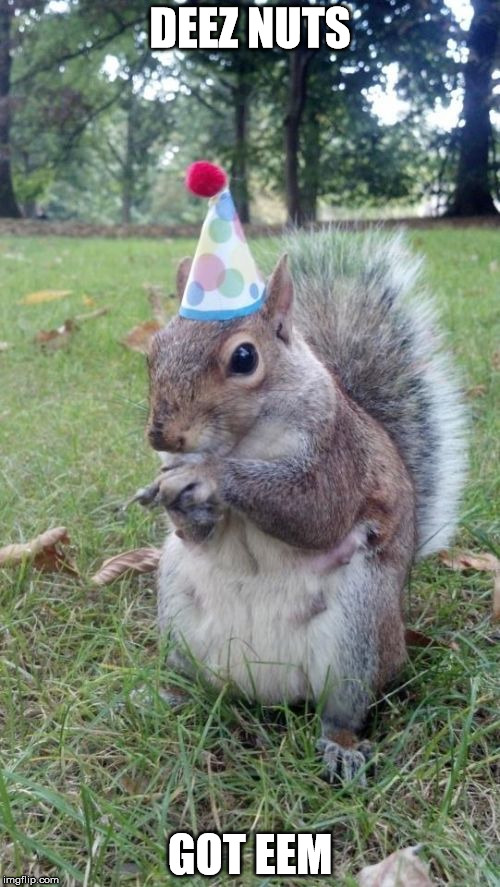 Super Birthday Squirrel | DEEZ NUTS; GOT EEM | image tagged in memes,super birthday squirrel | made w/ Imgflip meme maker