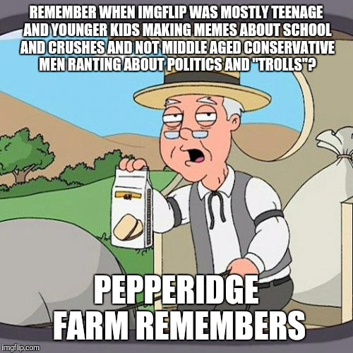 Pepperidge Farm Remembers | REMEMBER WHEN IMGFLIP WAS MOSTLY TEENAGE AND YOUNGER KIDS MAKING MEMES ABOUT SCHOOL AND CRUSHES AND NOT MIDDLE AGED CONSERVATIVE MEN RANTING ABOUT POLITICS AND "TROLLS"? PEPPERIDGE FARM REMEMBERS | image tagged in memes,pepperidge farm remembers | made w/ Imgflip meme maker