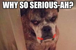 WHY SO SERIOUS-AH? | image tagged in why so serious joker dog | made w/ Imgflip meme maker