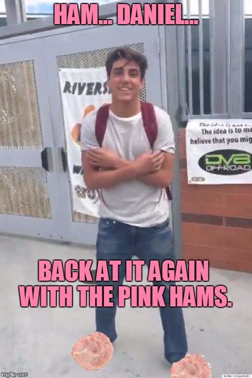 Anybody know where I can buy Pink Hams? | HAM... DANIEL... BACK AT IT AGAIN WITH THE PINK HAMS. | image tagged in memes,damn daniel,ham,pink,shoes,funny | made w/ Imgflip meme maker