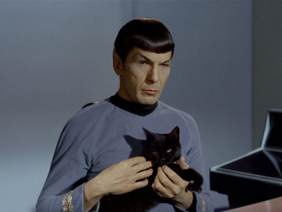 spockandcat Blank Meme Template