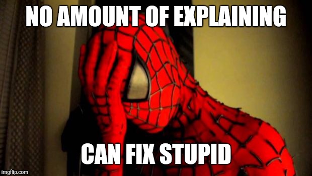 spiderman facepalm | NO AMOUNT OF EXPLAINING; CAN FIX STUPID | image tagged in spiderman facepalm | made w/ Imgflip meme maker