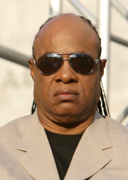 serious stevie wonder Blank Meme Template