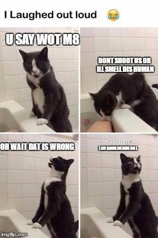 funny cat | DONT SHOOT US OR ILL SMELL DIS HUMAN L AM GONNA DIE NOW AM L OH WAIT DAT IS WRONG U SAY WOT M8 | image tagged in funny cat | made w/ Imgflip meme maker