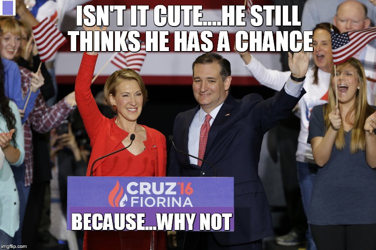 ted, this is not gonna help | ISN'T IT CUTE....HE STILL THINKS HE HAS A CHANCE; BECAUSE...WHY NOT | image tagged in ted cruz,memes | made w/ Imgflip meme maker