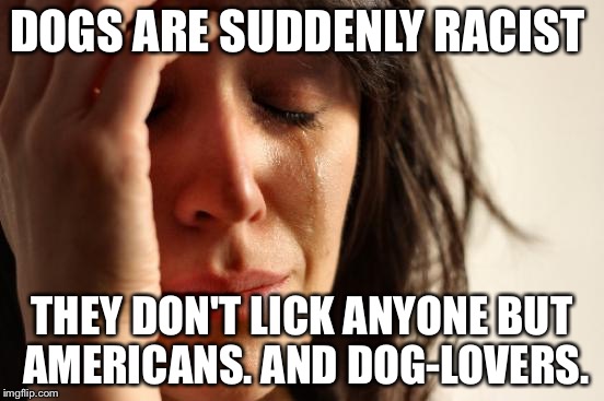 DOGS ARE SUDDENLY RACIST THEY DON'T LICK ANYONE BUT AMERICANS. AND DOG-LOVERS. | image tagged in memes,first world problems | made w/ Imgflip meme maker