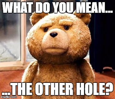 TED | WHAT DO YOU MEAN... ...THE OTHER HOLE? | image tagged in memes,ted | made w/ Imgflip meme maker