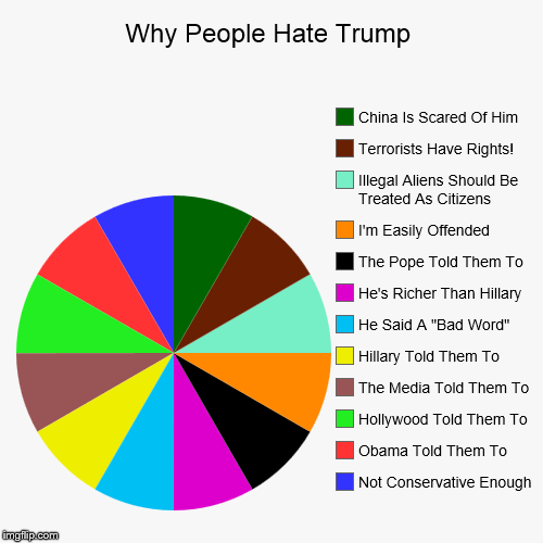 It's a colorful wheel | image tagged in funny,pie charts,donald trump,trump | made w/ Imgflip chart maker