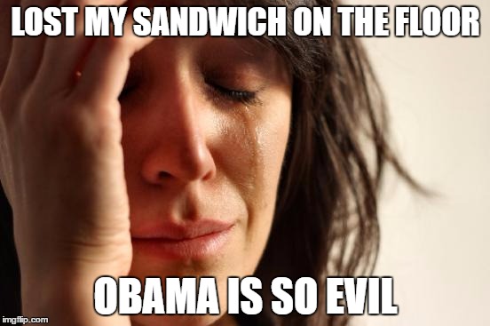 Dat feeling when Obama gets the blame for everything. | LOST MY SANDWICH ON THE FLOOR; OBAMA IS SO EVIL | image tagged in memes,first world problems | made w/ Imgflip meme maker