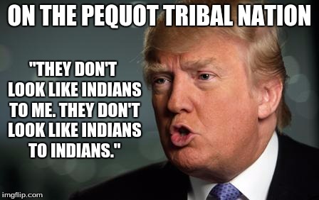 Trump | ON THE PEQUOT TRIBAL NATION; "THEY DON'T LOOK LIKE INDIANS TO ME. THEY DON'T LOOK LIKE INDIANS TO INDIANS." | image tagged in trump | made w/ Imgflip meme maker