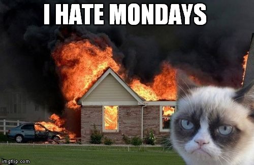 Burn Kitty Meme | I HATE MONDAYS | image tagged in memes,burn kitty | made w/ Imgflip meme maker
