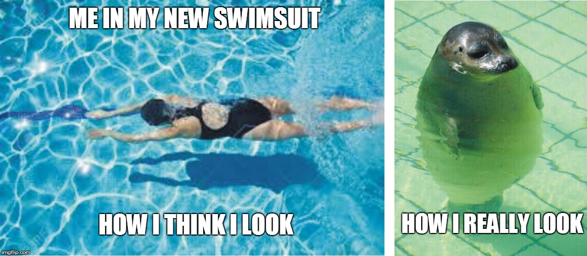 ME IN MY NEW SWIMSUIT; HOW I THINK I LOOK; HOW I REALLY LOOK image tagged i...