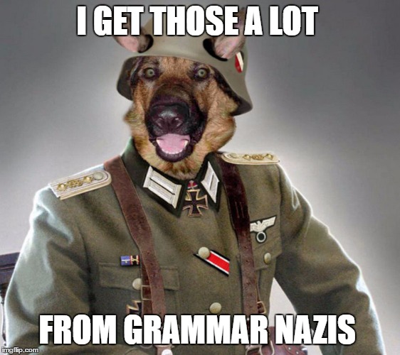 Nazi dog | I GET THOSE A LOT FROM GRAMMAR NAZIS | image tagged in nazi dog | made w/ Imgflip meme maker