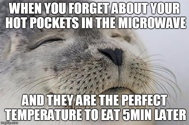 Satisfied Seal | WHEN YOU FORGET ABOUT YOUR HOT POCKETS IN THE MICROWAVE; AND THEY ARE THE PERFECT TEMPERATURE TO EAT 5MIN LATER | image tagged in memes,satisfied seal,AdviceAnimals | made w/ Imgflip meme maker