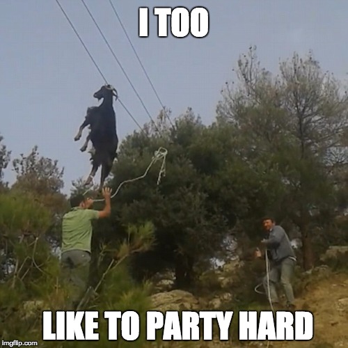 I TOO; LIKE TO PARTY HARD | made w/ Imgflip meme maker