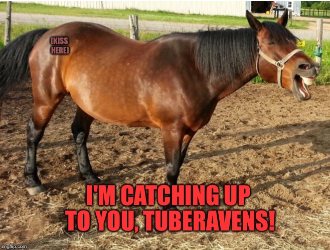 LAUGHING HORSE | (KISS HERE) I'M CATCHING UP TO YOU, TUBERAVENS! | image tagged in laughing horse | made w/ Imgflip meme maker