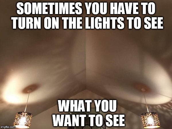Its time for deeeeeep thoughts.  | SOMETIMES YOU HAVE TO TURN ON THE LIGHTS TO SEE; WHAT YOU WANT TO SEE | image tagged in memes,funny | made w/ Imgflip meme maker