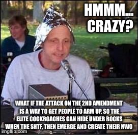 It's a conspiracy | HMMM... CRAZY? WHAT IF THE ATTACK ON THE 2ND AMENDMENT IS A WAY TO GET PEOPLE TO ARM UP, SO THE ELITE COCKROACHES CAN HIDE UNDER ROCKS WHEN THE SHTF, THEN EMERGE AND CREATE THEIR NWO | image tagged in it's a conspiracy | made w/ Imgflip meme maker