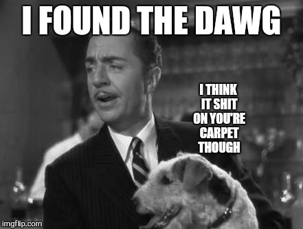 no that was me | I FOUND THE DAWG; I THINK IT SHIT ON YOU'RE CARPET THOUGH | image tagged in memes,yo dawg | made w/ Imgflip meme maker