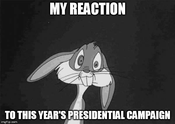 I should have taken a left turn at Albuquerque  | MY REACTION; TO THIS YEAR'S PRESIDENTIAL CAMPAIGN | image tagged in election 2016,bugs bunny | made w/ Imgflip meme maker