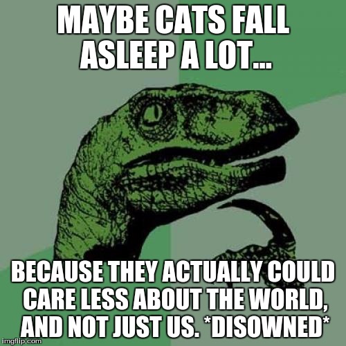 Philosoraptor | MAYBE CATS FALL ASLEEP A LOT... BECAUSE THEY ACTUALLY COULD CARE LESS ABOUT THE WORLD, AND NOT JUST US. *DISOWNED* | image tagged in memes,philosoraptor | made w/ Imgflip meme maker