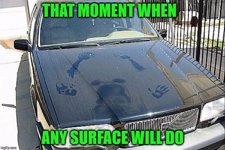 Hot Dust Print |  THAT MOMENT WHEN; ANY SURFACE WILL DO | image tagged in memes,funny,hot,sexy,car,doggy | made w/ Imgflip meme maker