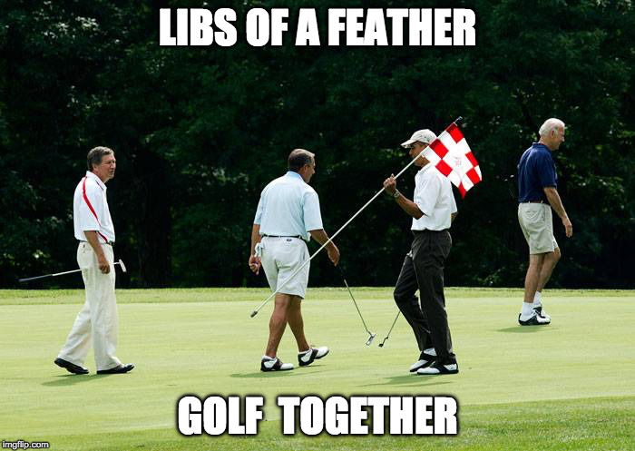 LIBS OF A FEATHER; GOLF  TOGETHER | image tagged in golfing buddies | made w/ Imgflip meme maker