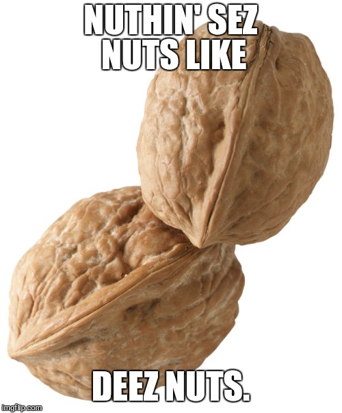 two nuts | NUTHIN' SEZ NUTS LIKE; DEEZ NUTS. | image tagged in two nuts | made w/ Imgflip meme maker