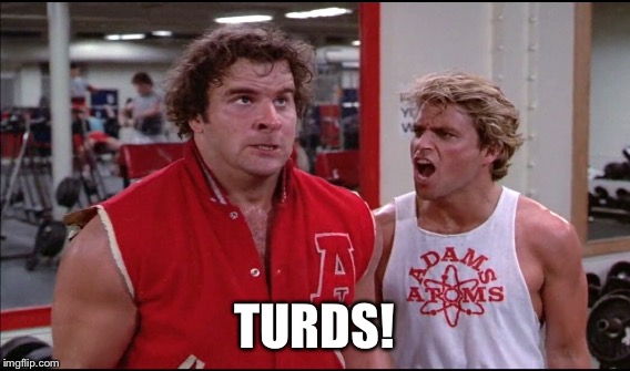 TURDS! | made w/ Imgflip meme maker