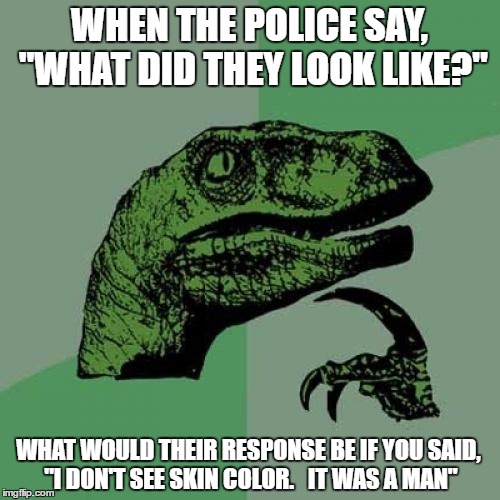 Philosoraptor Meme | WHEN THE POLICE SAY, "WHAT DID THEY LOOK LIKE?" WHAT WOULD THEIR RESPONSE BE IF YOU SAID, "I DON'T SEE SKIN COLOR.   IT WAS A MAN" | image tagged in memes,philosoraptor | made w/ Imgflip meme maker