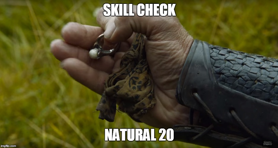 SKILL CHECK; NATURAL 20 | made w/ Imgflip meme maker