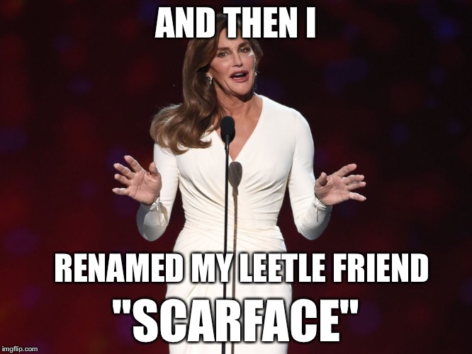 AND THEN I "SCARFACE" RENAMED MY LEETLE FRIEND | image tagged in kaitlyn | made w/ Imgflip meme maker