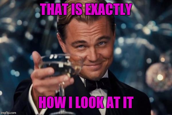 Leonardo Dicaprio Cheers Meme | THAT IS EXACTLY HOW I LOOK AT IT | image tagged in memes,leonardo dicaprio cheers | made w/ Imgflip meme maker