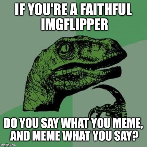 Philosoraptor | IF YOU'RE A FAITHFUL IMGFLIPPER; DO YOU SAY WHAT YOU MEME, AND MEME WHAT YOU SAY? | image tagged in memes,philosoraptor | made w/ Imgflip meme maker