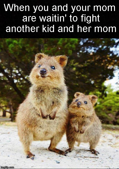 It's about to be on! | When you and your mom are waitin' to fight another kid and her mom | image tagged in funny memes,mother,kid,fight | made w/ Imgflip meme maker
