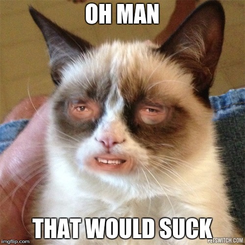 Grumpy Cat High | OH MAN THAT WOULD SUCK | image tagged in grumpy cat high | made w/ Imgflip meme maker
