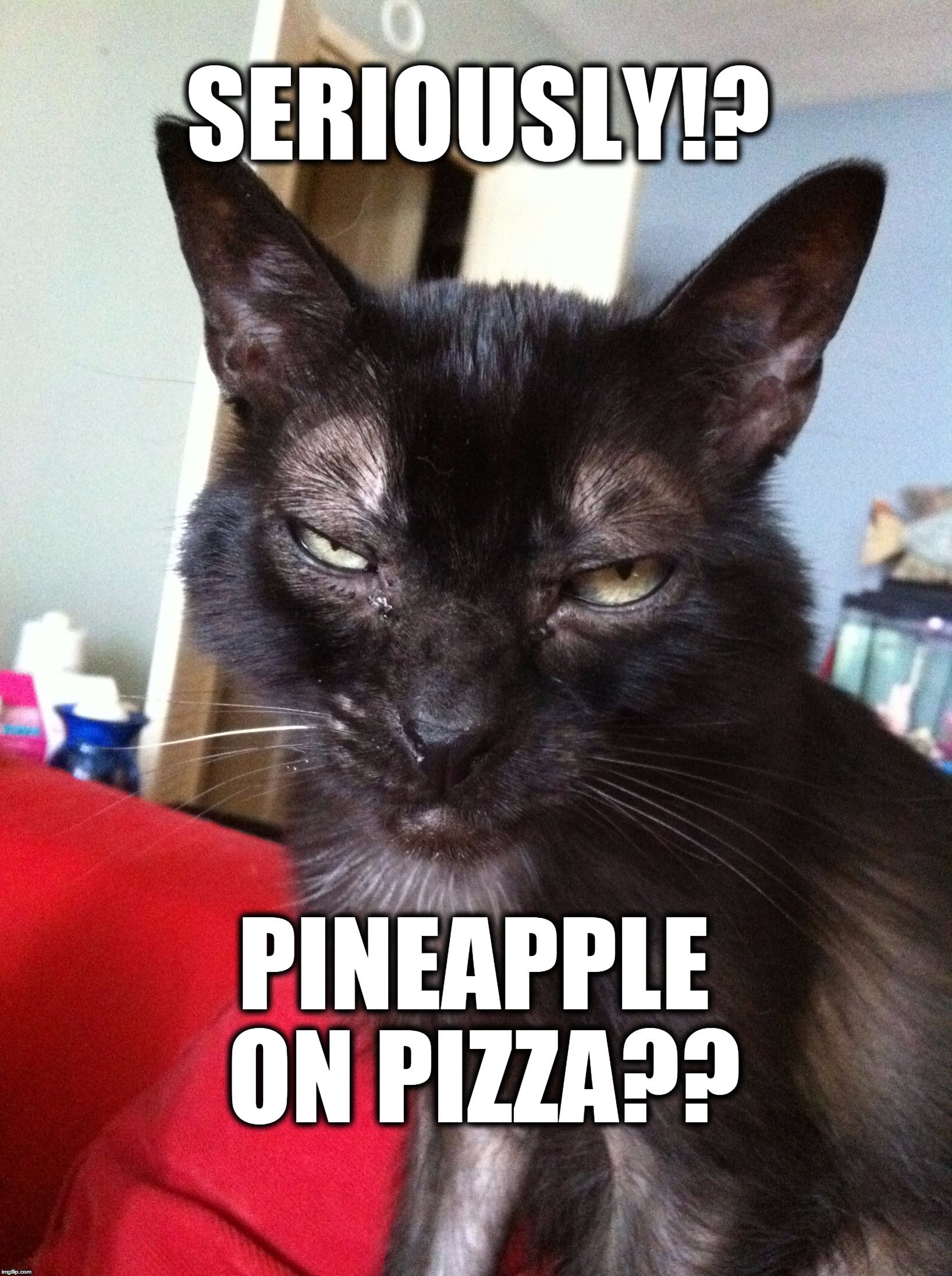 Monkster_Seriously  | SERIOUSLY!? PINEAPPLE ON PIZZA?? | image tagged in monkster_seriously | made w/ Imgflip meme maker