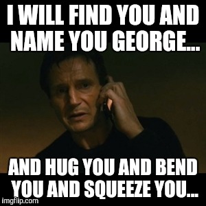 Liam Neeson Taken | I WILL FIND YOU AND NAME YOU GEORGE... AND HUG YOU AND BEND YOU AND SQUEEZE YOU... | image tagged in memes,liam neeson taken | made w/ Imgflip meme maker