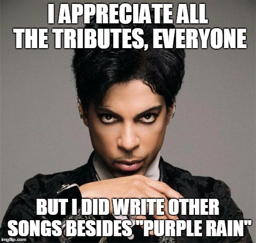 PrinceInsitu | I APPRECIATE ALL THE TRIBUTES, EVERYONE; BUT I DID WRITE OTHER SONGS BESIDES "PURPLE RAIN" | image tagged in princeinsitu,AdviceAnimals | made w/ Imgflip meme maker