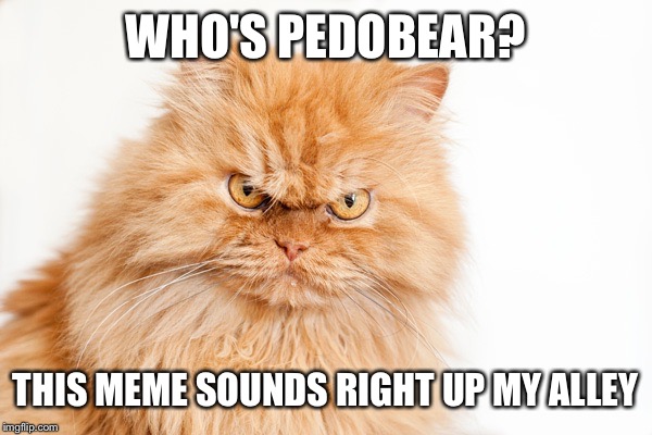 WHO'S PEDOBEAR? THIS MEME SOUNDS RIGHT UP MY ALLEY | made w/ Imgflip meme maker