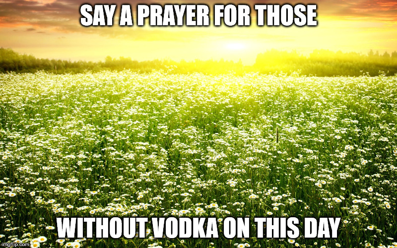 SAY A PRAYER FOR THOSE; WITHOUT VODKA ON THIS DAY | image tagged in vodka,prayer,pray | made w/ Imgflip meme maker
