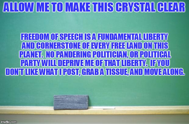 blank chalkboard | ALLOW ME TO MAKE THIS CRYSTAL CLEAR; FREEDOM OF SPEECH IS A FUNDAMENTAL LIBERTY AND CORNERSTONE OF EVERY FREE LAND ON THIS PLANET.  NO PANDERING POLITICIAN, OR POLITICAL PARTY WILL DEPRIVE ME OF THAT LIBERTY.  IF YOU DON'T LIKE WHAT I POST, GRAB A TISSUE, AND MOVE ALONG. | image tagged in blank chalkboard | made w/ Imgflip meme maker