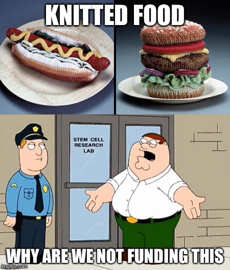 Nothing screams 'Murica more than knitted food, except doing nothing and getting away with it. | KNITTED FOOD | image tagged in why are we not funding this,peter griffin,knitted food | made w/ Imgflip meme maker